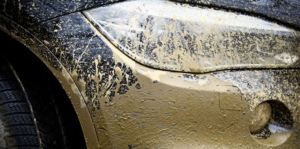 Muddy and dirty headlights of a Subaru.